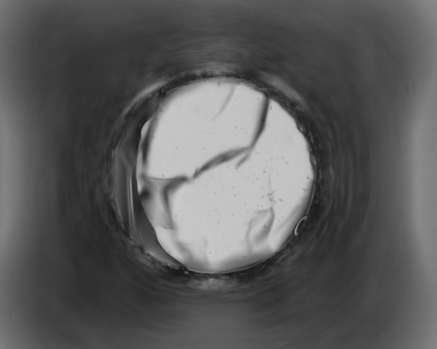 X0000082961160200703020206