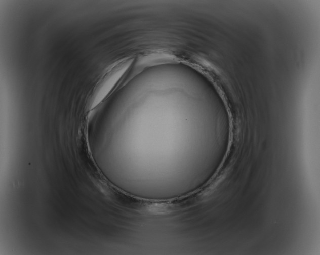 X0000082961161200703020206