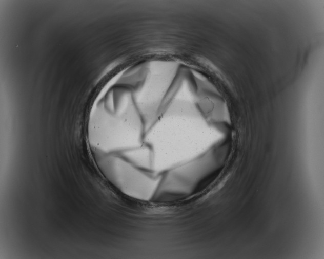 X0000082961162200703020206