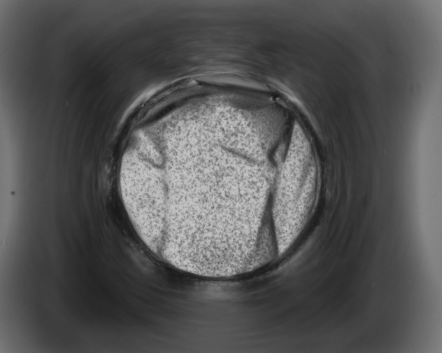 X0000082961163200703020206