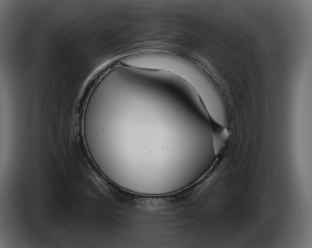 X0000082961164200703020206