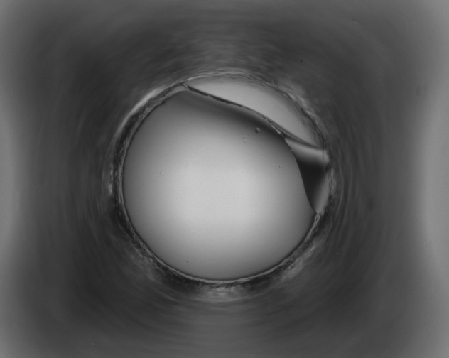 X0000082961165200703020206