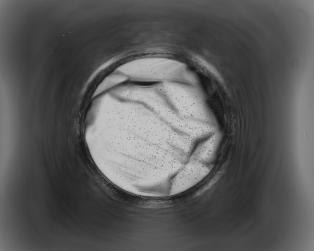 X0000082961166200703020206