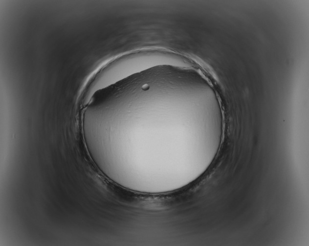 X0000082961167200703020206