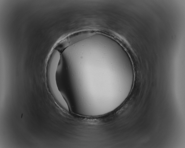 X0000082961168200703020206