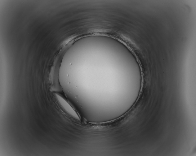 X0000082961169200703020206