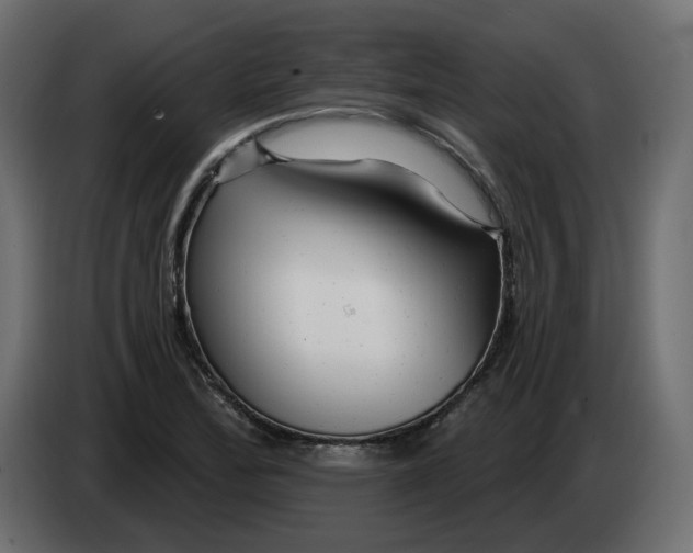 X0000082961172200703020206