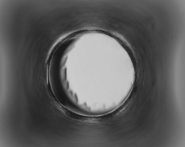 X0000082961175200703020206