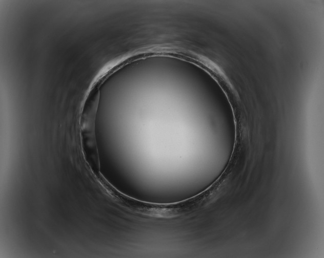 X0000082961176200703020206