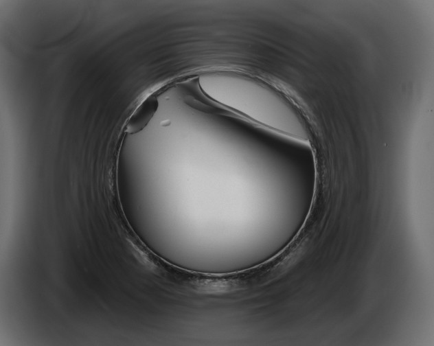 X0000082961177200703020206