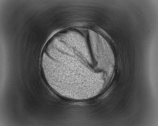 X0000082961178200703020206