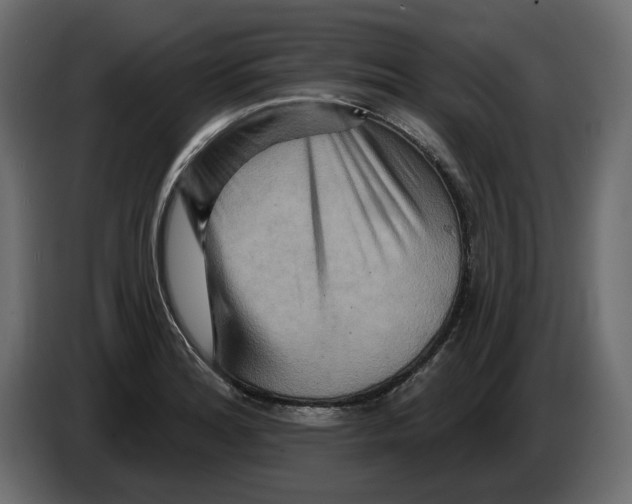 X0000082961180200703020206