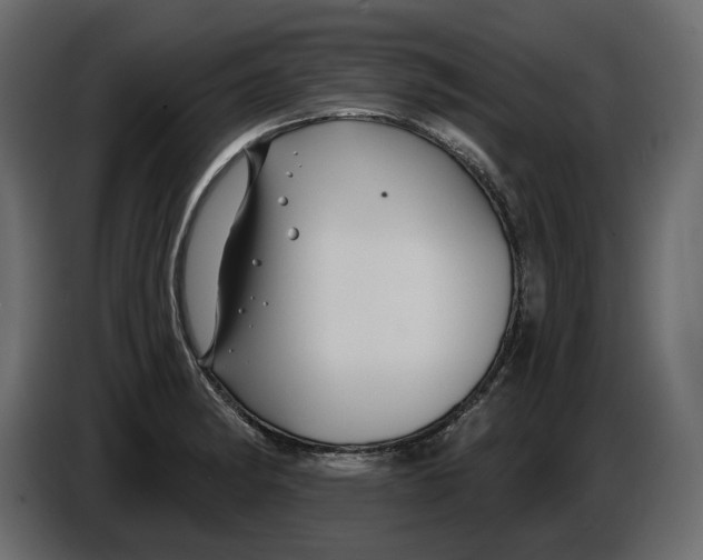 X0000082961182200703020206