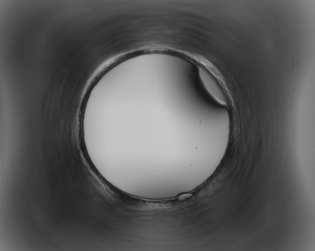 X0000082961183200703020206