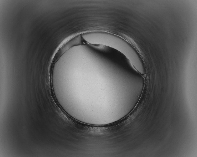 X0000082961184200703020206