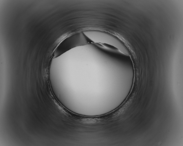 X0000082961185200703020206