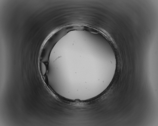 X0000082961188200703020205