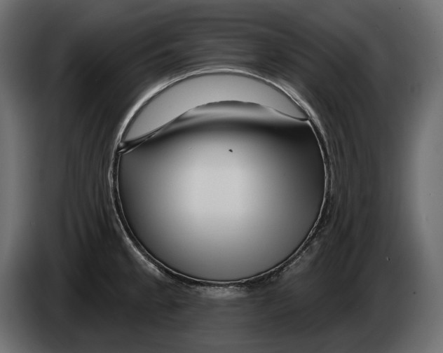 X0000082961189200703020205