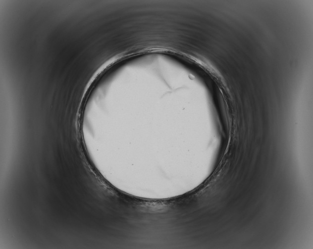 X0000082961190200703020205