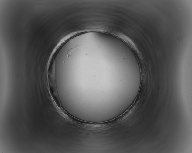 X0000082961192200703020205