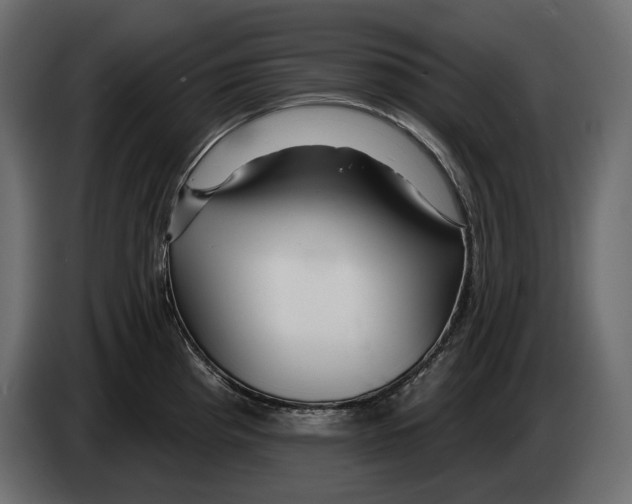 X0000082961193200703020205