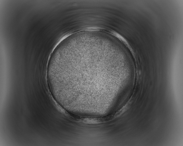 X0000082961194200703020205