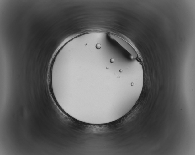 X0000082961195200703020205