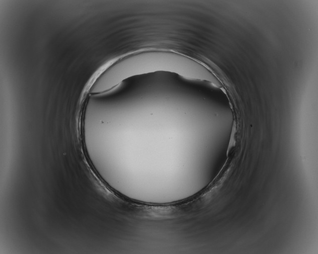 X0000082961196200703020205