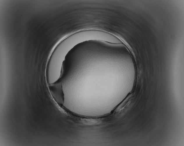 X0000082961197200703020205