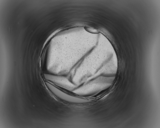 X0000082961198200703020205