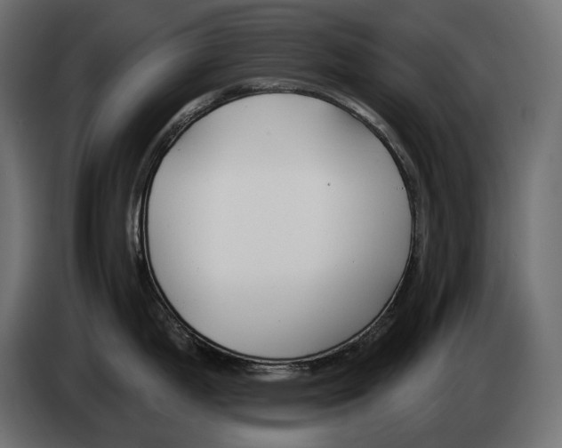 X0000082961199200703020205