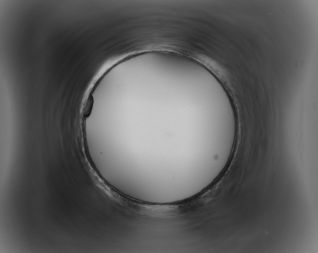 X0000082961200200703020205