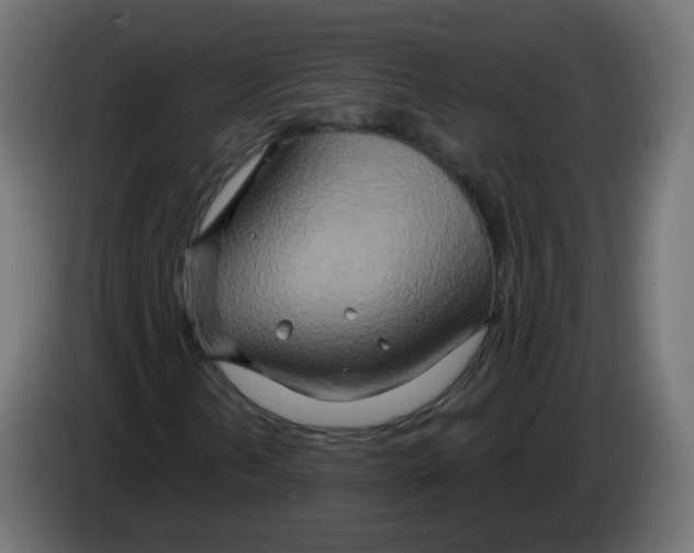 X0000082961202200703020205