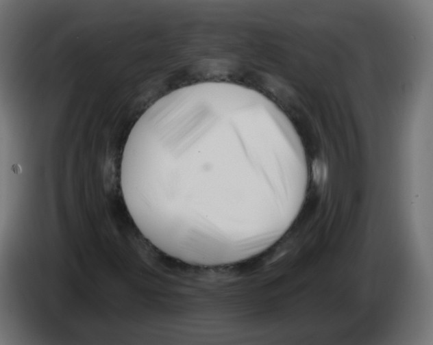 X0000082961203200703020205