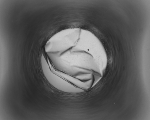 X0000082961204200703020205