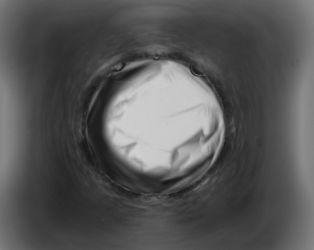 X0000082961205200703020205