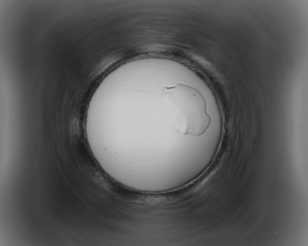 X0000082961209200703020205