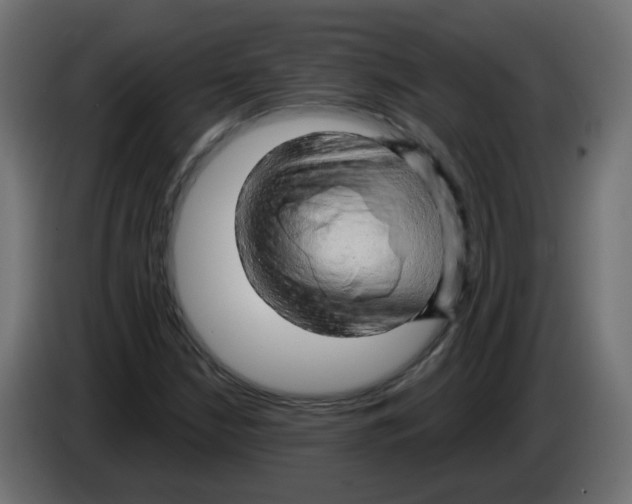 X0000082961210200703020205