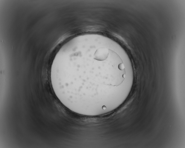 X0000082961211200703020205