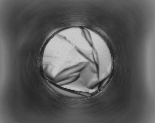 X0000082961212200703020205