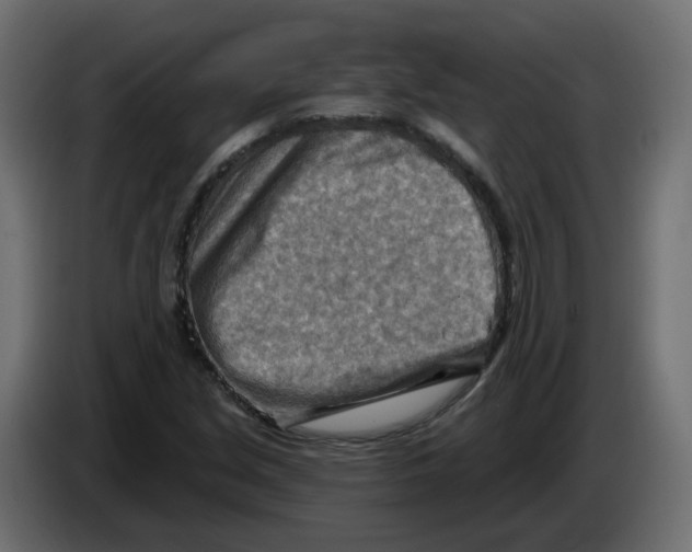 X0000082961213200703020205