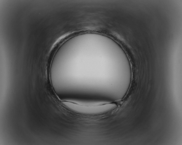 X0000082961214200703020205