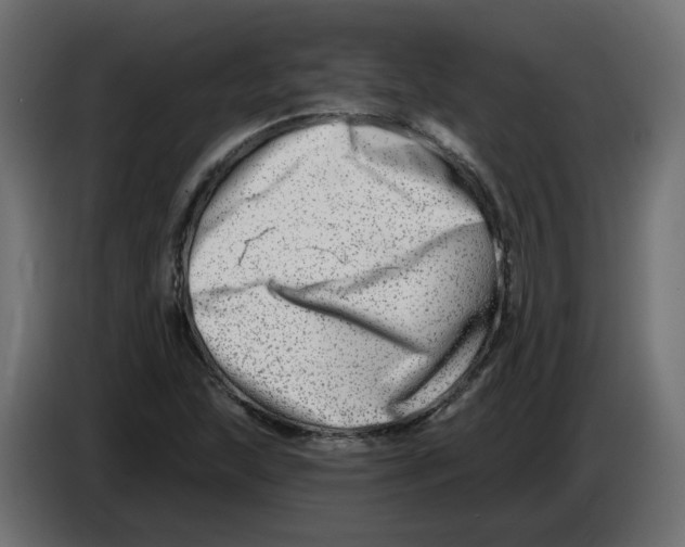 X0000082961215200703020205