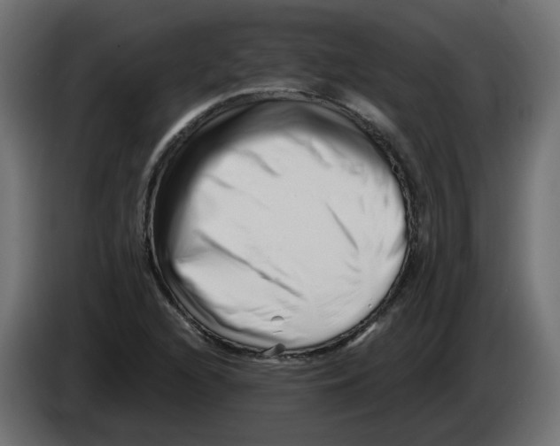 X0000082961216200703020205