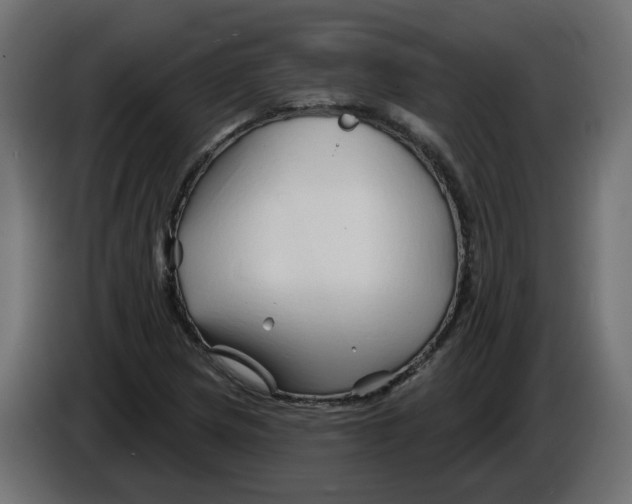 X0000082961217200703020205