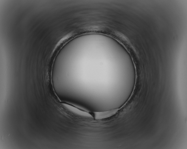 X0000082961218200703020205