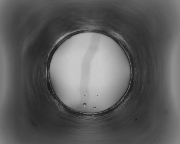 X0000082961220200703020205