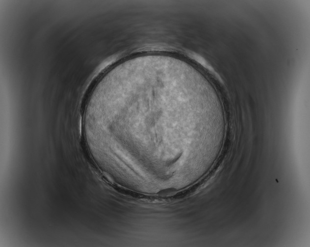 X0000082961221200703020205