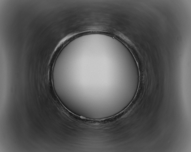 X0000082961222200703020205