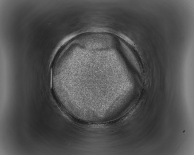 X0000082961223200703020205